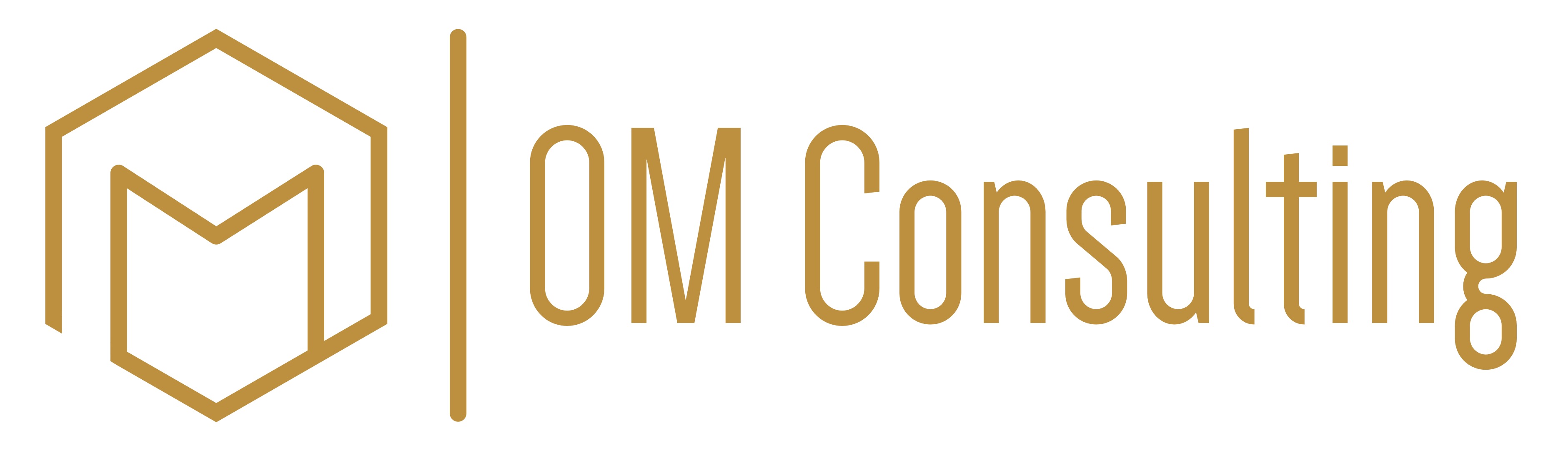 OM Consulting